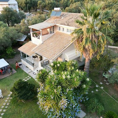 Sunny Garden Villa Plataria Zewnętrze zdjęcie
