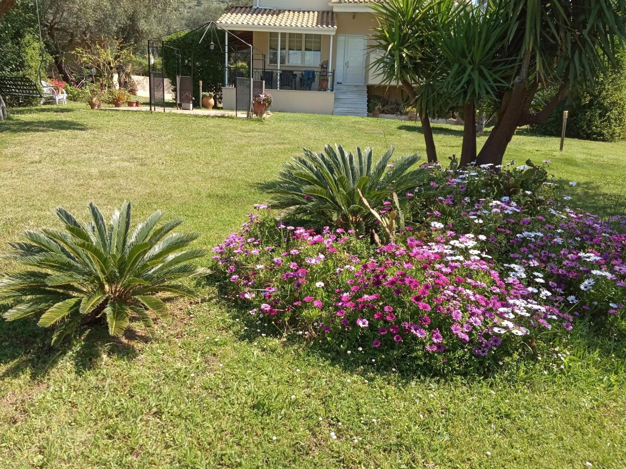 Sunny Garden Villa Plataria Pokój zdjęcie